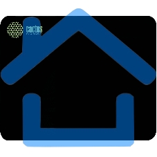 Коврик для мыши Cactus черный 300x250x2мм (CS-MPC-P01M)