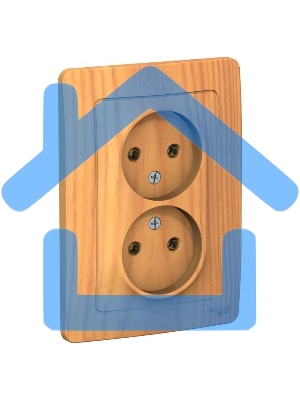 Розетка 2-м СП BLANCA 16А 250В без шторок без заземл. ясень SchE BLNRS000025