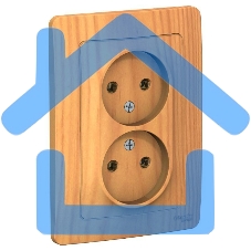 Розетка 2-м СП BLANCA 16А 250В без шторок без заземл. ясень SchE BLNRS000025 Розетка 2-м СП BLANCA 16А 250В без шторок без заземл. ясень SchE BLNRS000025