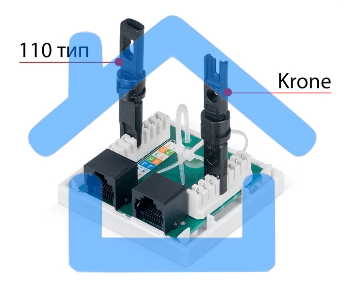 Розетка в сборе Cabeus, 2x RJ45(8P8C), кат. 6, неэкр., внешняя, белый, (WS-8P8C-Cat.6-2)