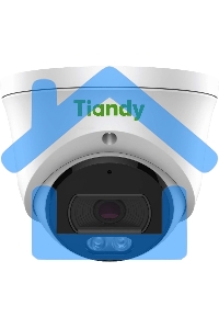 Камера IP TIANDY 2MP DOME TC-C320N (I3/E/Y/2.8MM)
